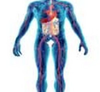 دانلود سوالات دکتری  فیزیولوژی