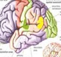 ظرفیت پذیرش کارشناسی ارشد روانشناسی بالینیَ