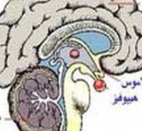 دروس امتحانی وضرایب مربوطه روانشناسی بالینی