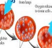 مدارک مورد پذیرش دکتری فیزیولوژی