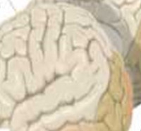 مدارک مورد پذیرش کارشناسی ارشد روانشناسی بالینی