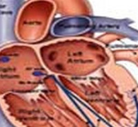 دانلود سوالات آزمون فیزیولوژی 