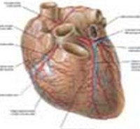 کلاس کنکور کارشناسی ارشدفیزیولوژی (نمایش ویدئویی)
