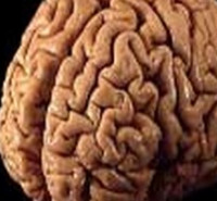 ارشد روانشناسی بالینی درباره رشته کارشناسی ارشد روانشناسی بالینی