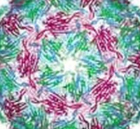 ظرفیت پذیرش کارشناسی ارشد میکروب شناسی