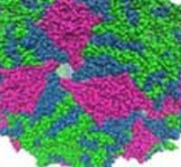 درباره رشته کارشناسی ارشد قارچ شناسی پزشكی