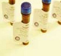 دانلود سوالات آزمون سم شناسی 