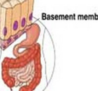ظرفیت پذیرش دکتری فیزیولوژی 