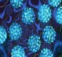 طرح درس ارشد ویروس شناسی طرح درس کارشناسی ارشد ویروس شناسی