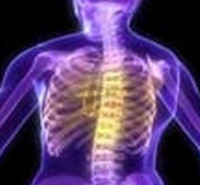 دروس امتحانی و ضرایب علوم تشریحی