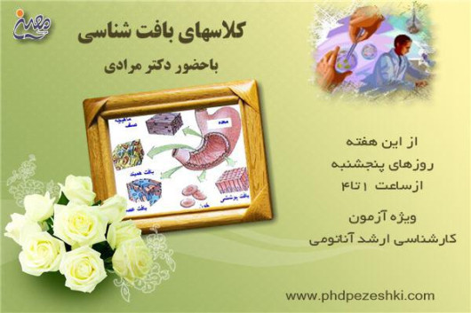 کلاس کارشناسی ارشد بافت شناسی رشته آناتومی 