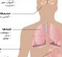 دروس امتحانی و ضرایب کارشناسی ارشد فیزیولوژی
