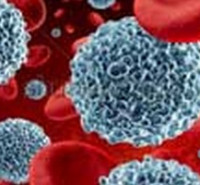 برنامه ریزی آموزشی دکتری ایمنی شناسی