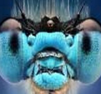 ظرفیت پذیرش کارشناسی ارشد حشره شناسی پزشکی و مبارزه با ناقلین