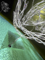 درباره رشته بیوفیزیک