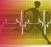 جزوات مکاتبه ای دکتری فیزیولوژی ورزش