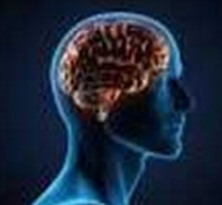 ظرفیت پذیرش کارشناسی ارشد علوم تشریح