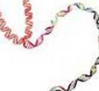 مدارک مورد پذیرش کارشناسی ارشد ژنتیک انسانی