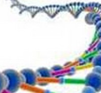 درصد های رتبه برتر ارشد نانوتکنولوژی پزشکی