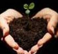 مدارک مورد پذیرش کارشناسی ارشدمدیریت سلامت-ایمنی ومحیط زیستHSE