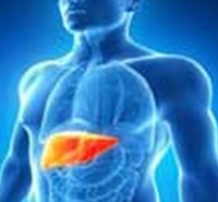 طرح درس ارشد علوم تشریحی (آناتومی) طرح درس کارشناسی ارشد علوم تشریحی (آناتومی)