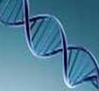 مدارک مورد پذیرش کارشناسی ارشد نانوتکنولوژی پزشکی 